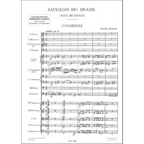 Saudades Do Brasil (Poche)